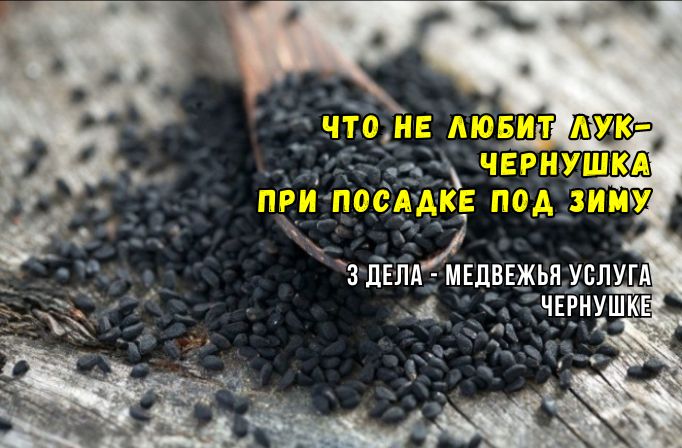    -:    
