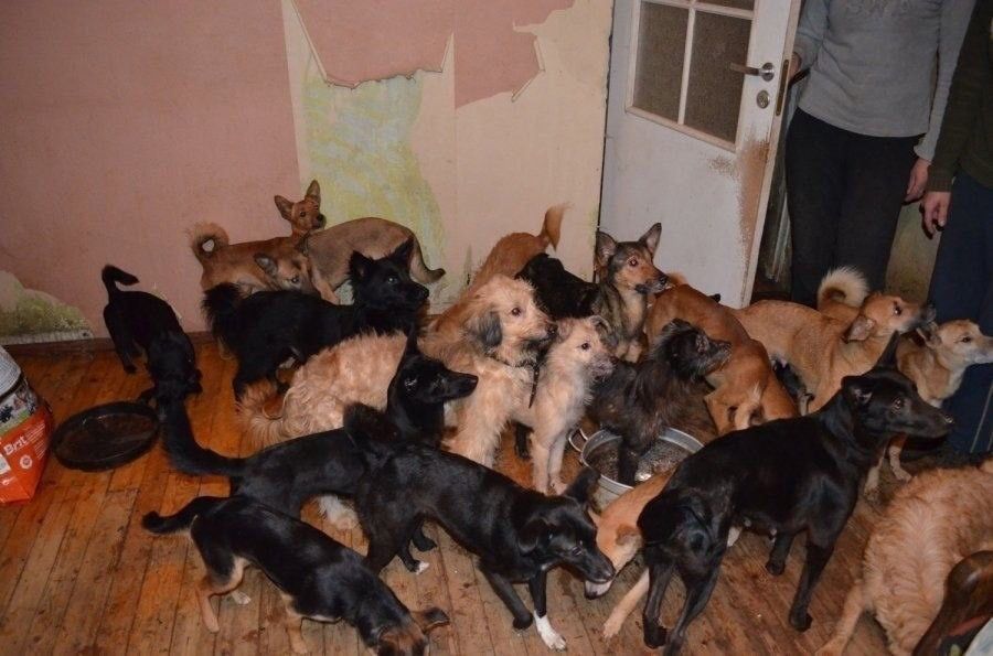    :    14   