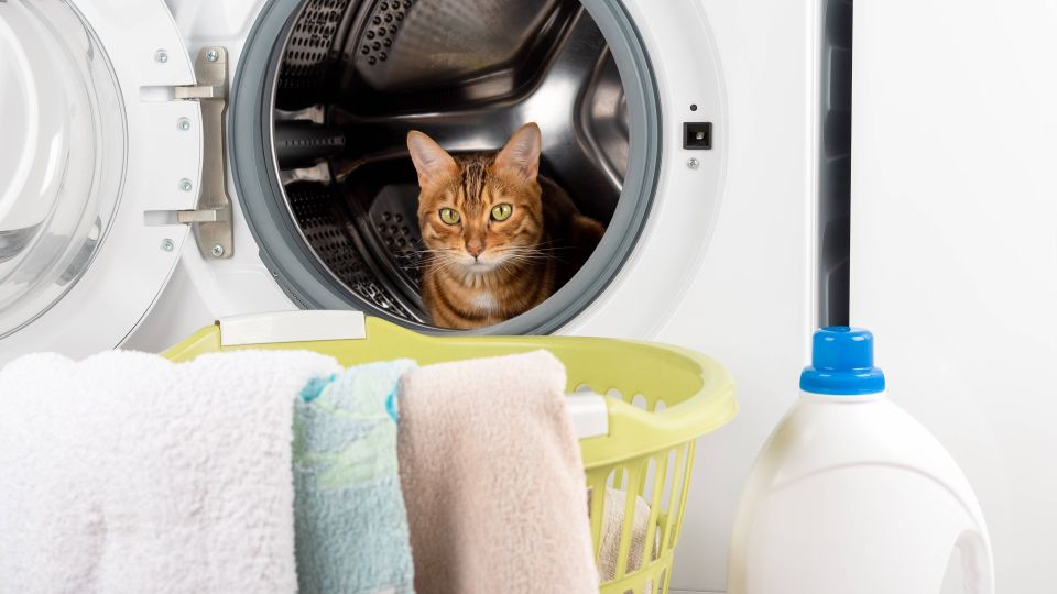 Больше не придется тратить сотни рублей на гель для стирки: можно приготовить его за копейки