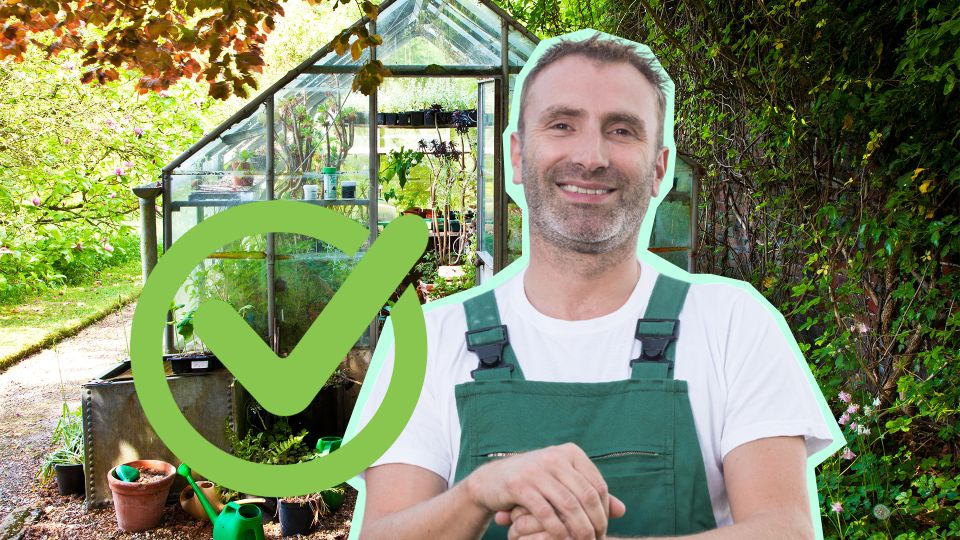 Вредители в теплице больше не заведутся: просто посадите в ней этот цветок