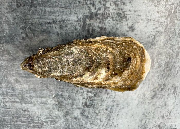 Устрицы Олерон: вкус, который рассказывает историю Франции