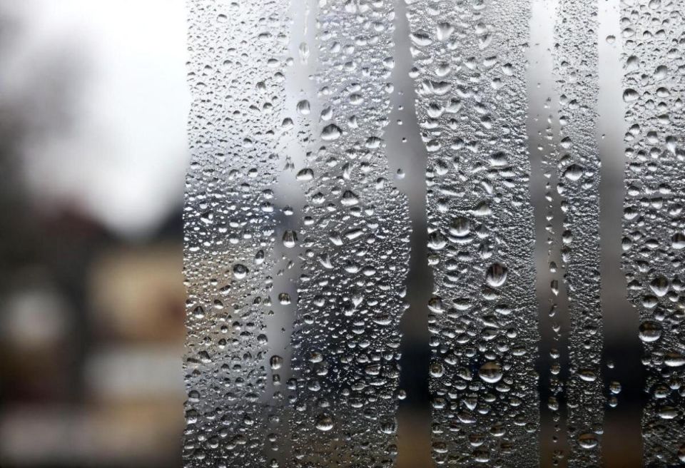 Как быстро избавиться от конденсата на окнах: секреты домашних экспертов