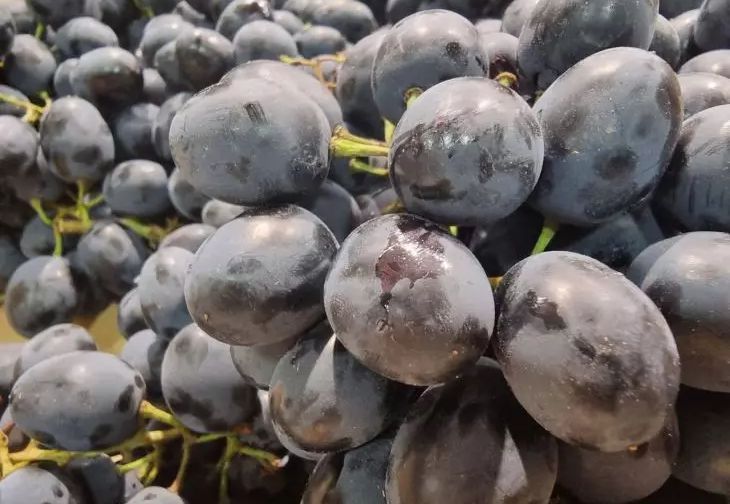 Что будет, если есть виноград каждый день: польза и риски для здоровья