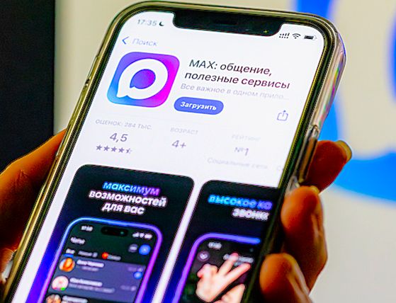 Как российский мессенджер МАХ помог поймать мошенника