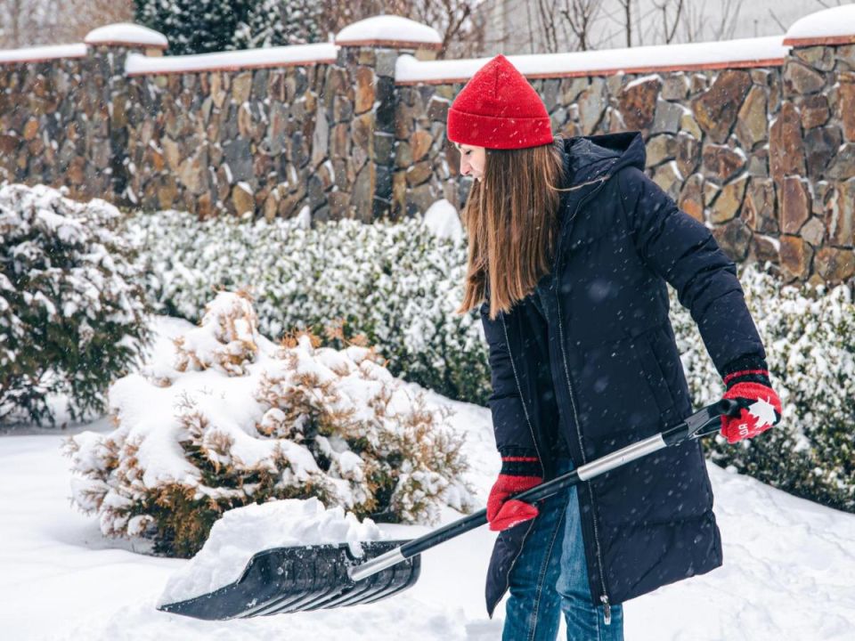 Умный уход за садом: что нельзя делать в морозы