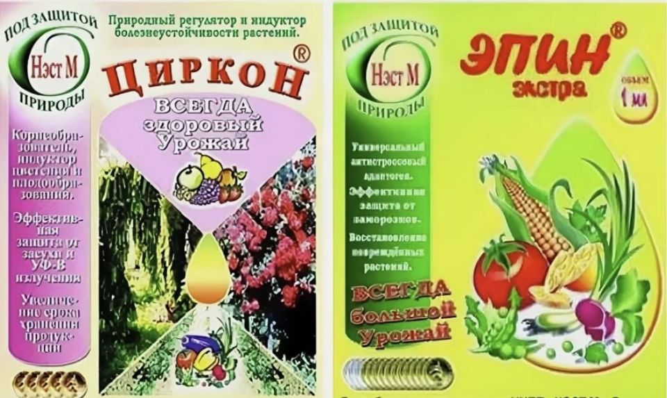 Эпин и Циркон: биостимуляторы для современных садоводов