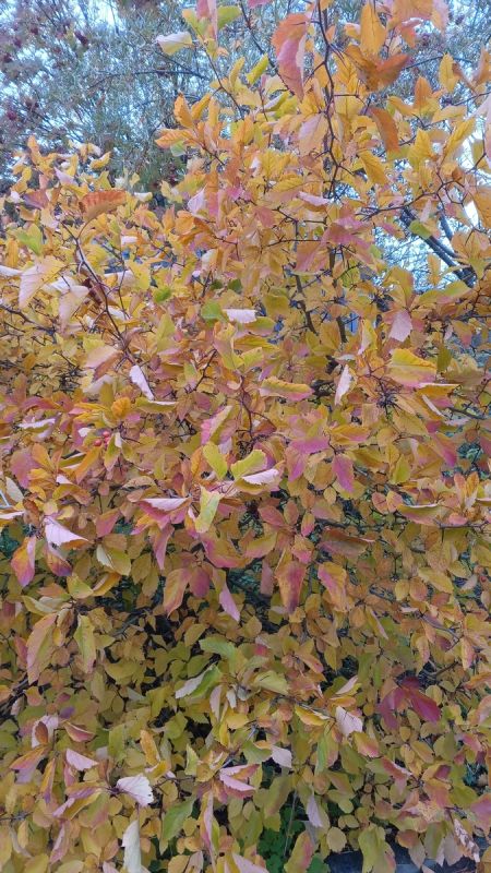 Почему бабушки в 80 продолжают трудиться: скрытые причины и социальные аспекты