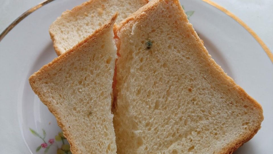 Почему хлеб из магазина плесневеет быстрее: что стоит знать