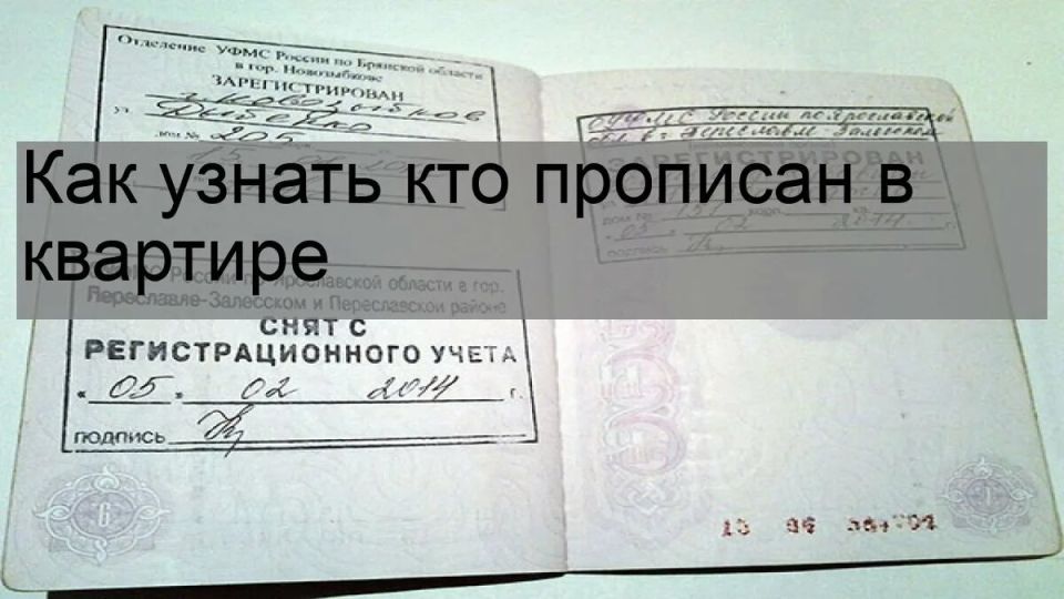 Как узнать, кто прописан в вашей квартире: актуальные советы и законные методы