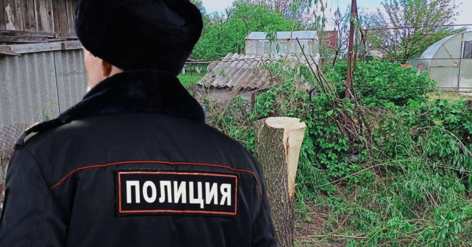 Сочи: женщина оштрафована на 10 миллионов рублей за вырубку деревьев на своем участке