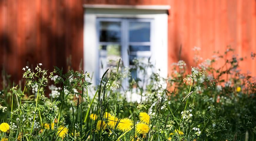 Как избежать неожиданных штрафов от Росреестра