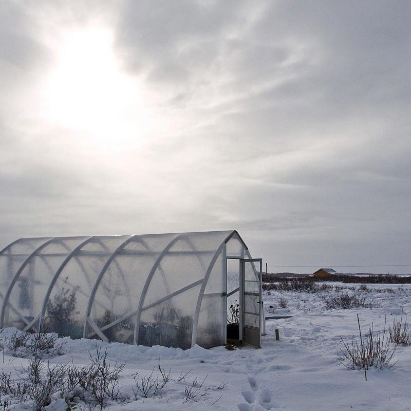 Как быстро и эффективно избавиться от льда на даче