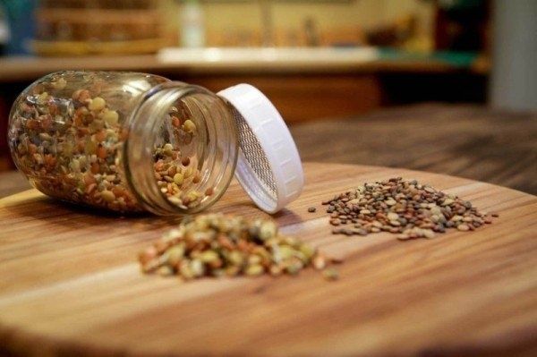 Эффективная подготовка семян к посеву