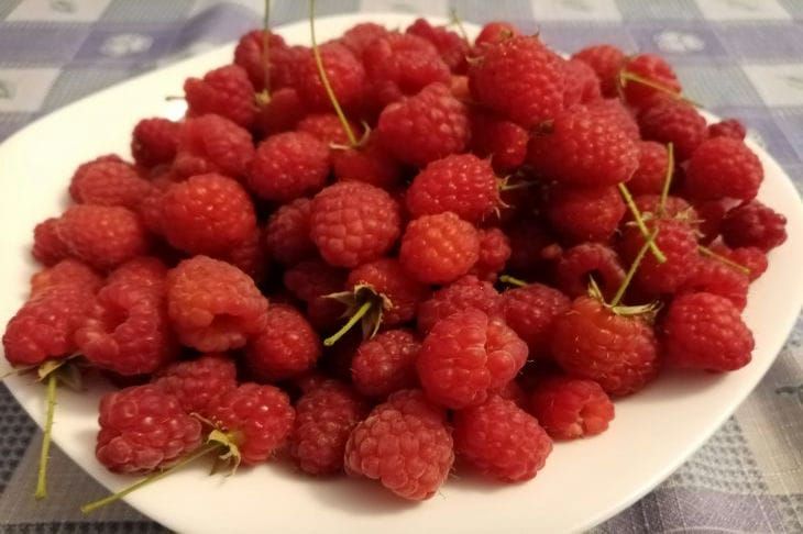 Как правильно добавлять крахмал в ягодный кисель: пропорции, советы опытных поваров