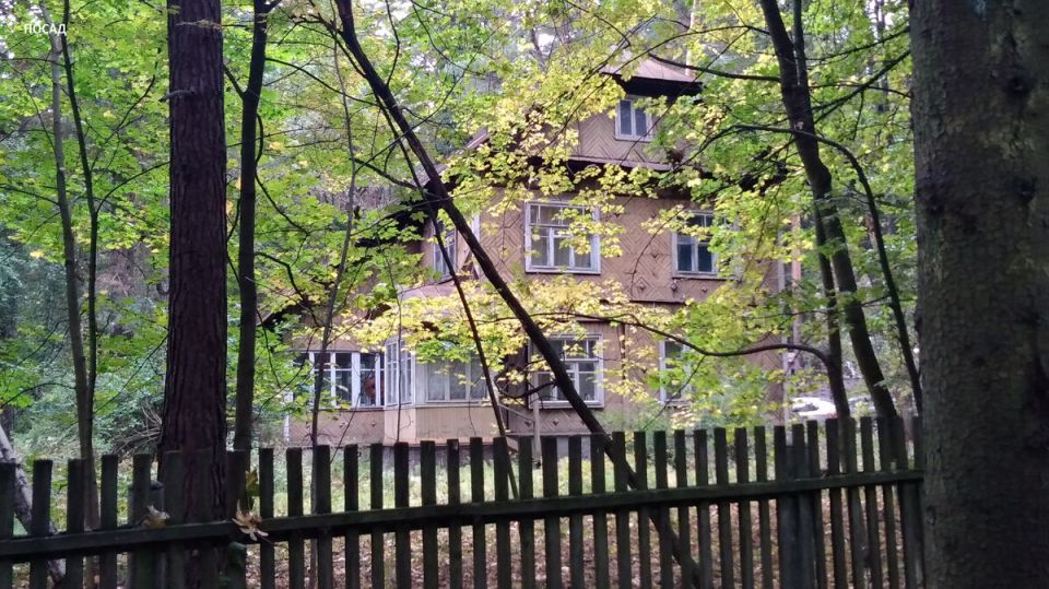 ��� ���� ����� �������� ��������� �����: ������� � �������