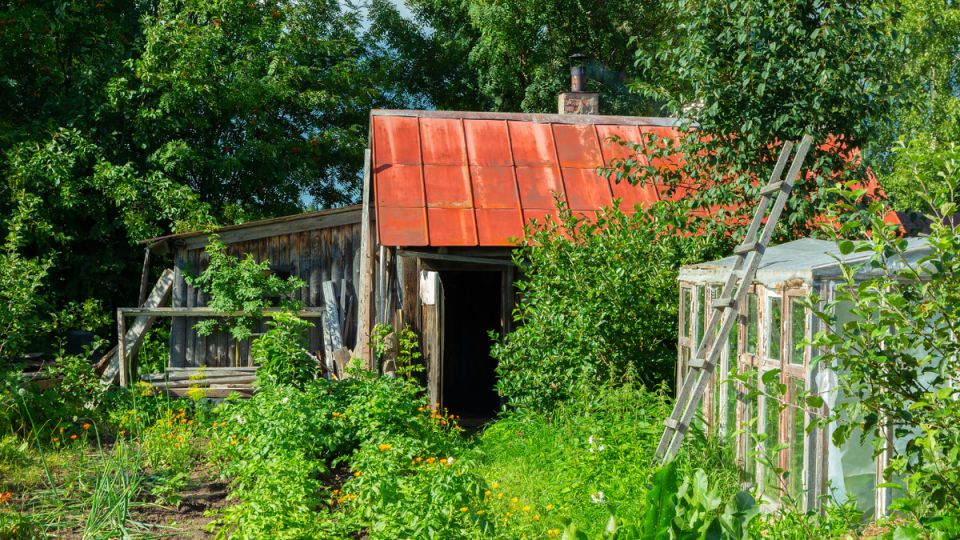 Как жажда пара обернулась уголовным делом: курьезная история о краже печки