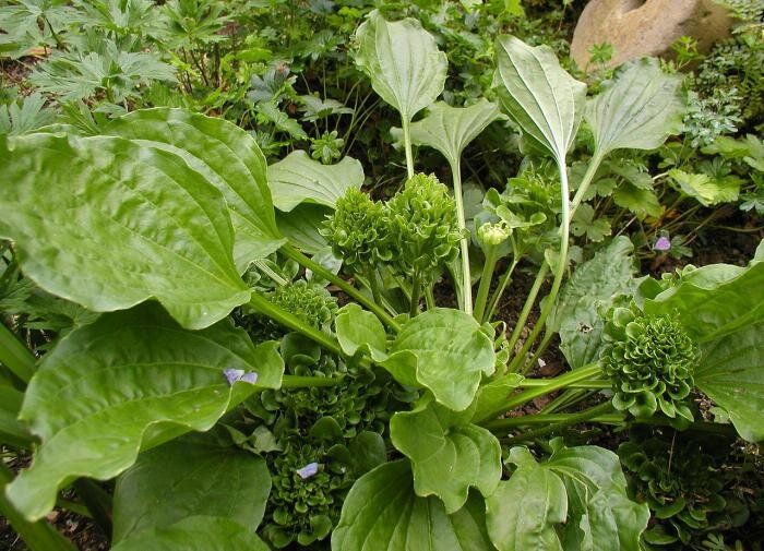 ������� ��������� ������ ������