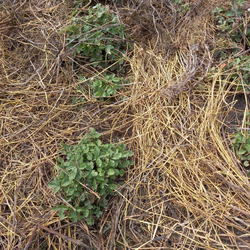 ��������������� ���������� �����: 5 ������� �������