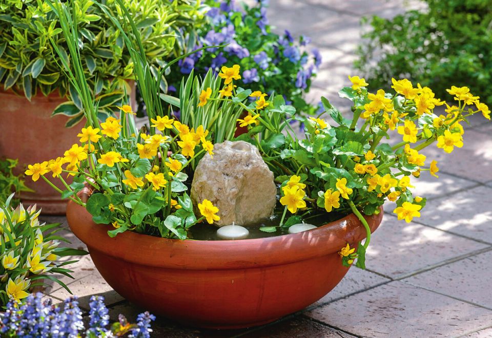 ��� ������� ��������� ������ �� ��������� �������: ������ � ���� ��� �����������