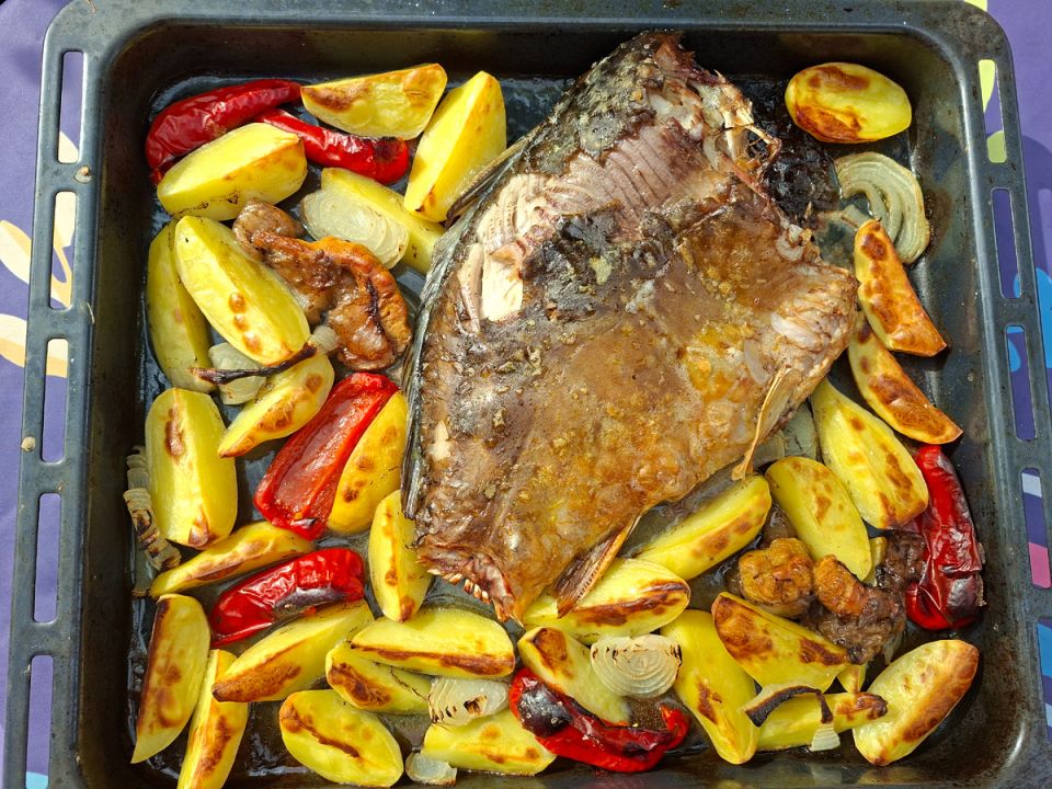 �����-������� � ������ �������: ���� � ������� � ������������ � ��������� �����