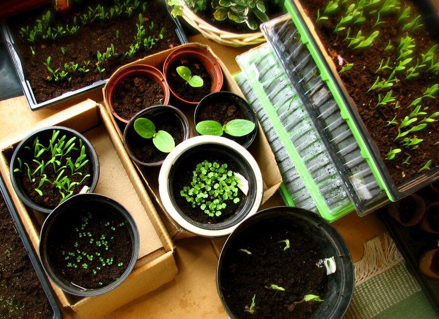 ��������� �������� ��� ���������: ��� ����� �� ������� � ������� ������