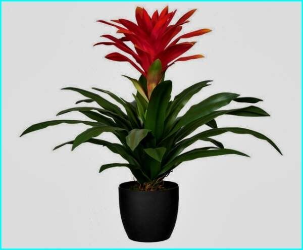 ��������: ����� ����������� ���� � ����� ����