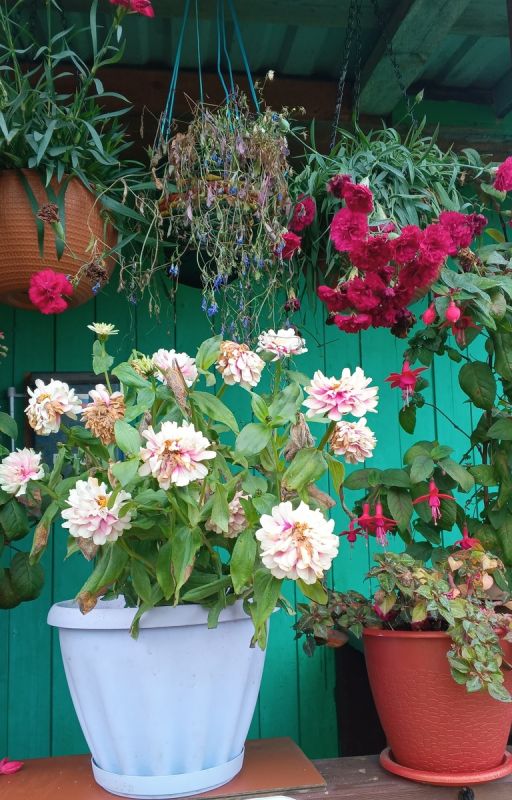 ��� ����� ���� ���� � ���� �������� � �������: ����������� � �������