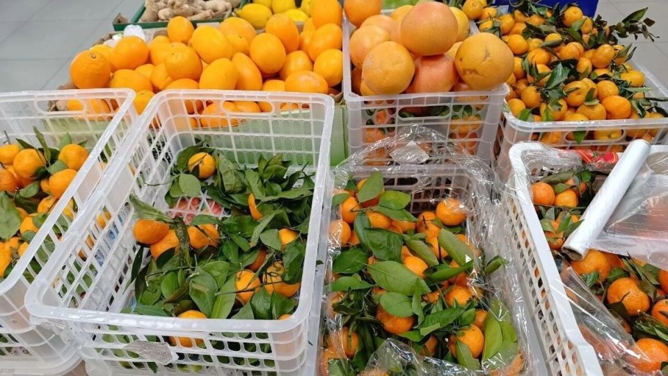 ���-3 ����� ���������� �� ���������