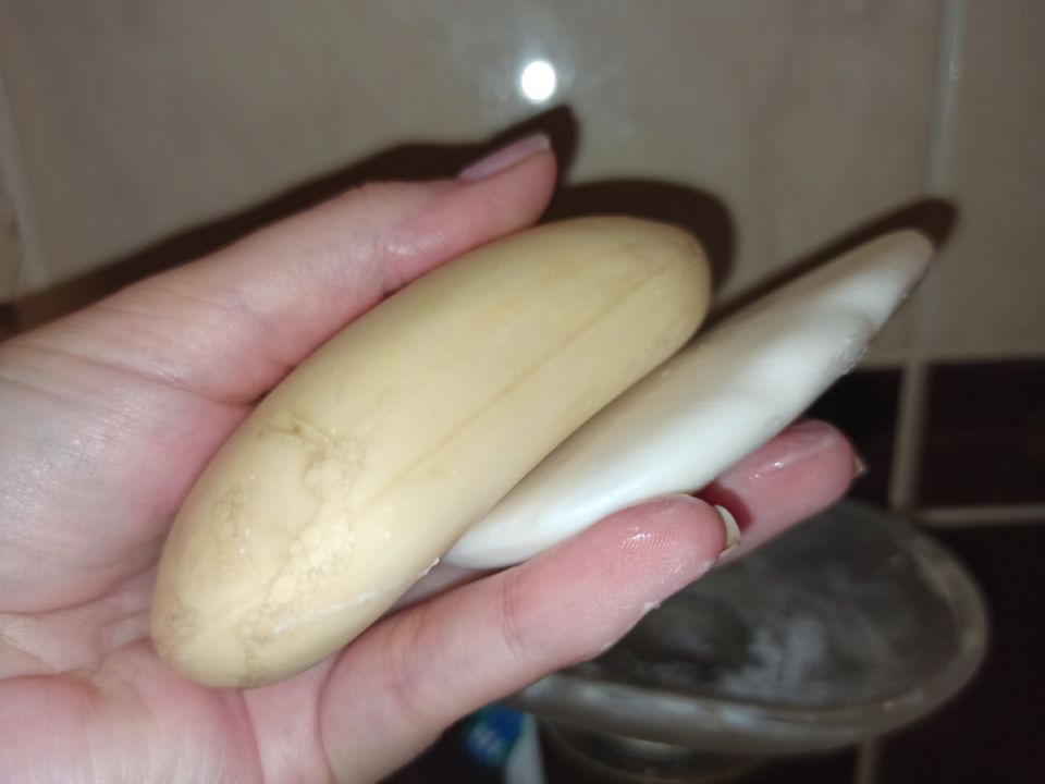 ��� ������� ���� ����� �������� ���� �������� ���������