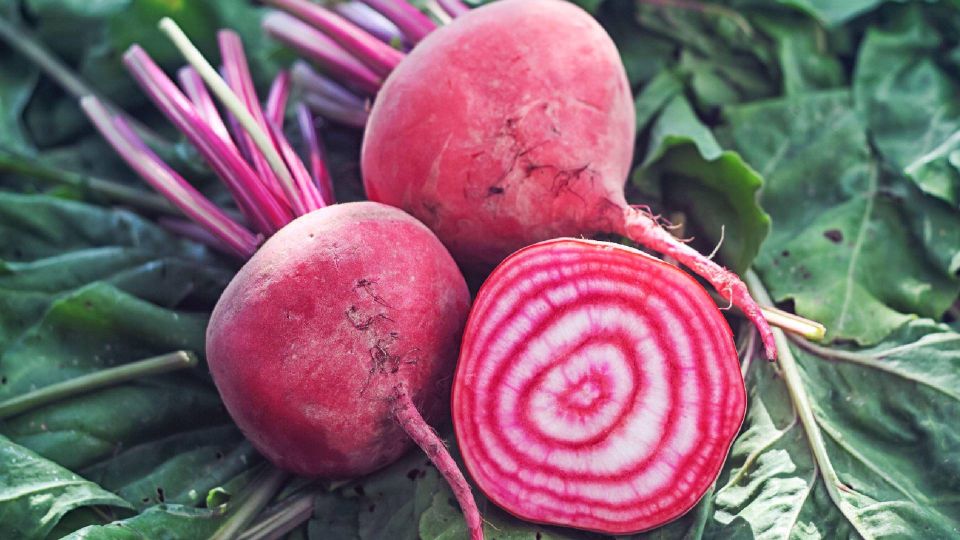 ��� ������ ������ ��������� ������� � � ������ ����������: ��������� ������ �������