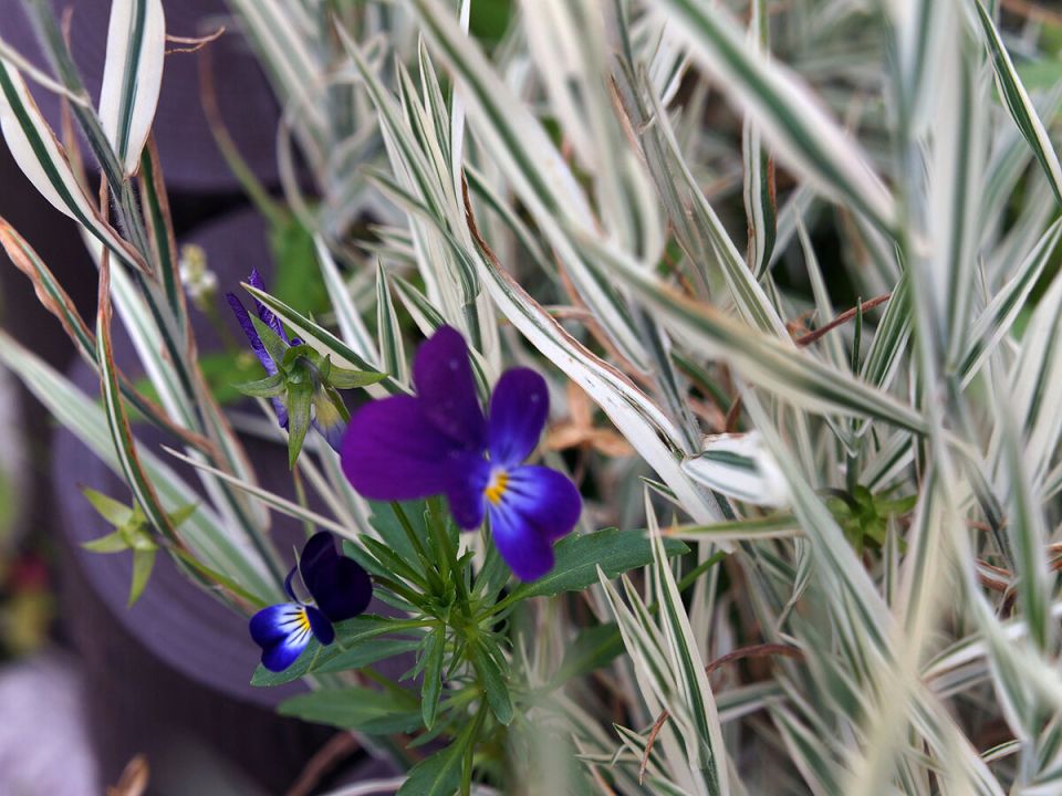 ���������� ���������: ��������� ������� ��� ����� �������� � ����������������