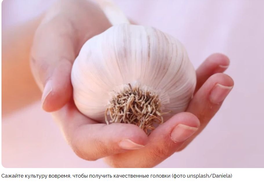 ����������� ����� ��� ������� ������� �������