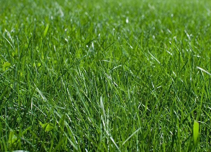 ��� ������ ����� �� �������� ���������: ������������ ������ ��� ��������