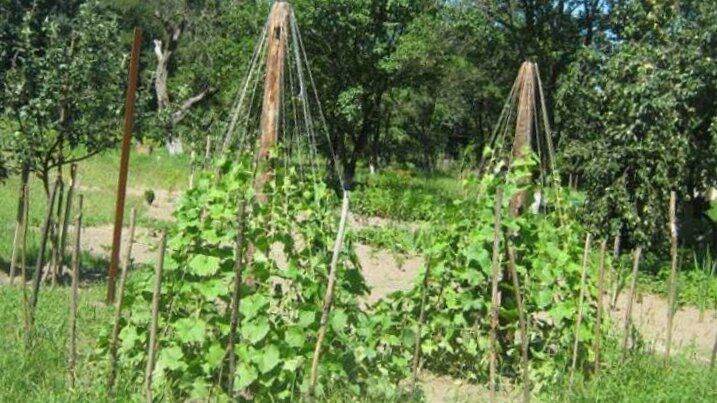 ��� ��������� �������� ������ ������ ����������