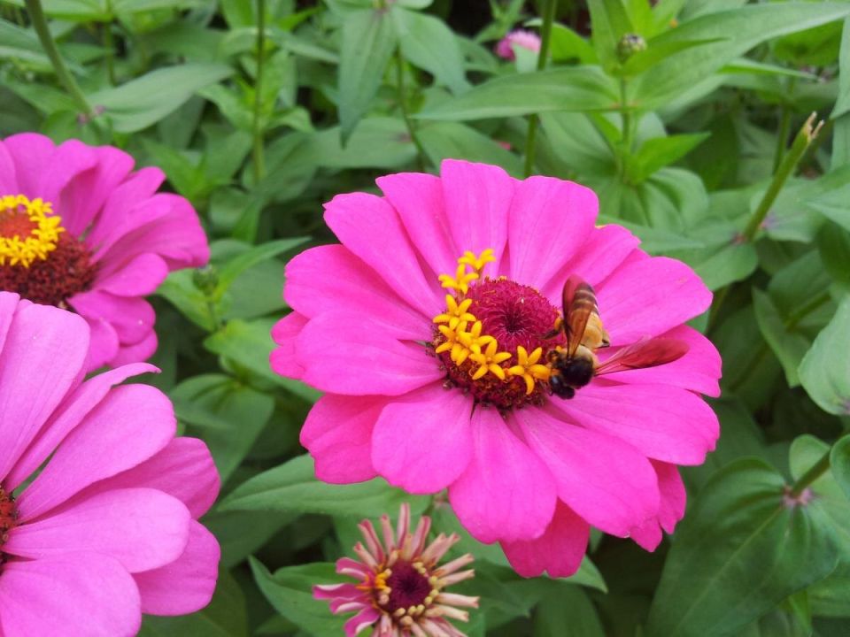 ������: ����� ������� ��� ������ �������