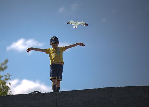 ���������� ��� ���� � ������� �������: �� ���� ����� ����������