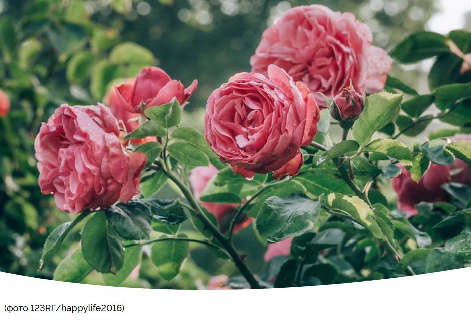 ��� ��������� ������ ���� �� ����