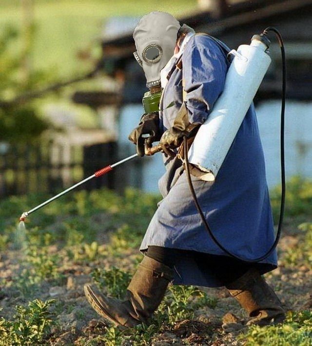 �����-�������: �������� ������ �������� ��� ������� �������?