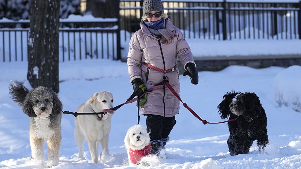 ����������� ������������� ������� � 2026 ����: ��� ������� �������?