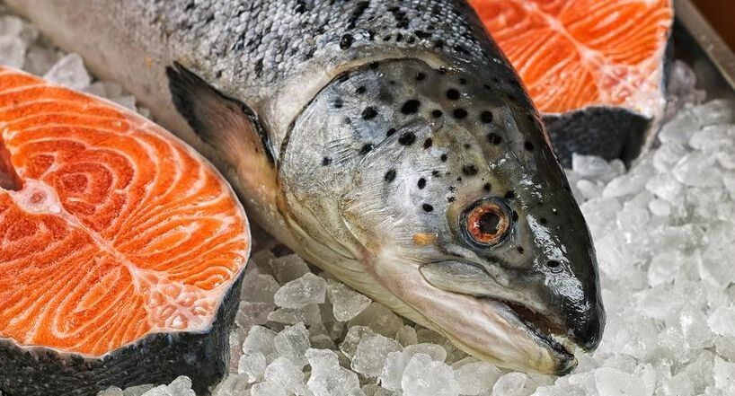 ���� �� ������ ������: ��� ��� ������ �� ����������� ����