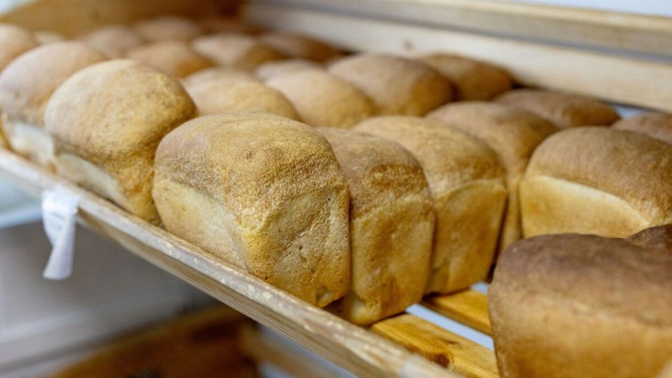 ������������ �����: ������� ���������� 2025 ����