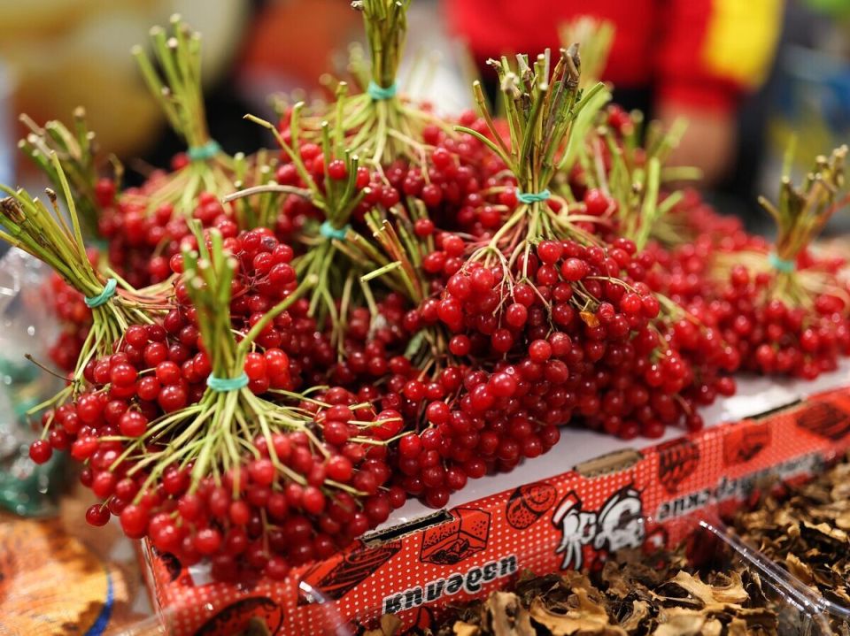 ������� �����: ��� ������������� �������� ������