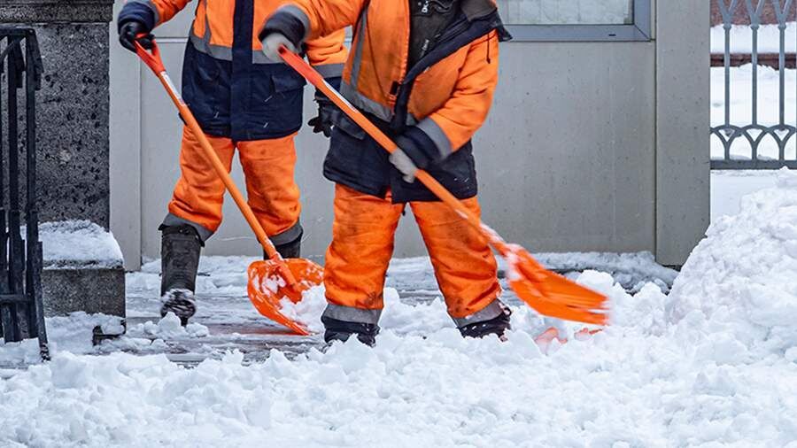 ��� ���������� ������� ������������ ����� � ���� ��������� ����� �������� ������