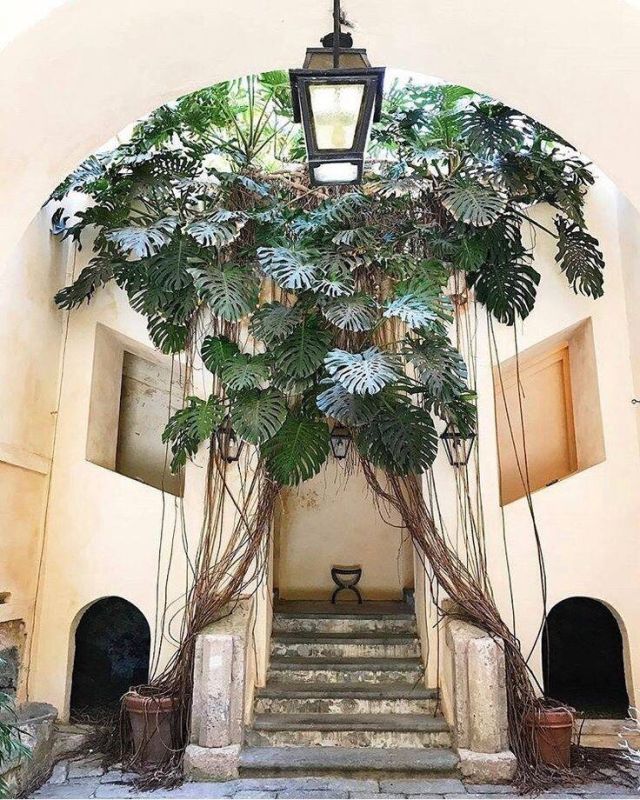 ��������� �������� � ����� �������: ����� ������ �� ��������� ������