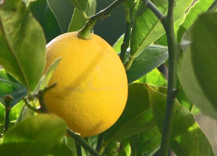 �������� ������ � ����: ��� �������� ������� �� ������ � �������