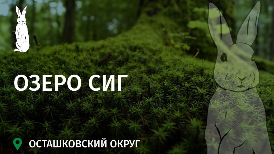  :         