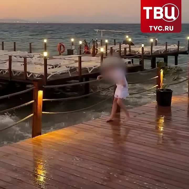                 ,    