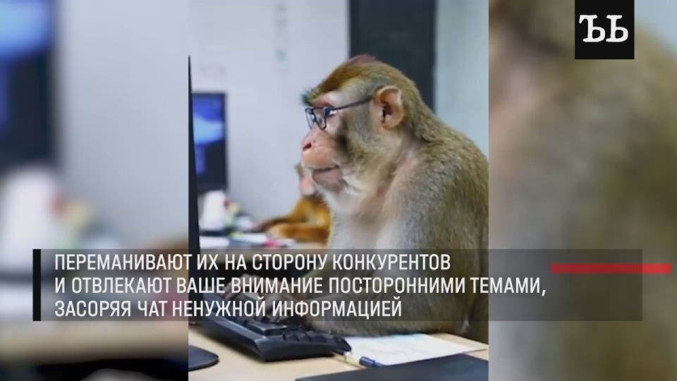 -, -, ,            ,     