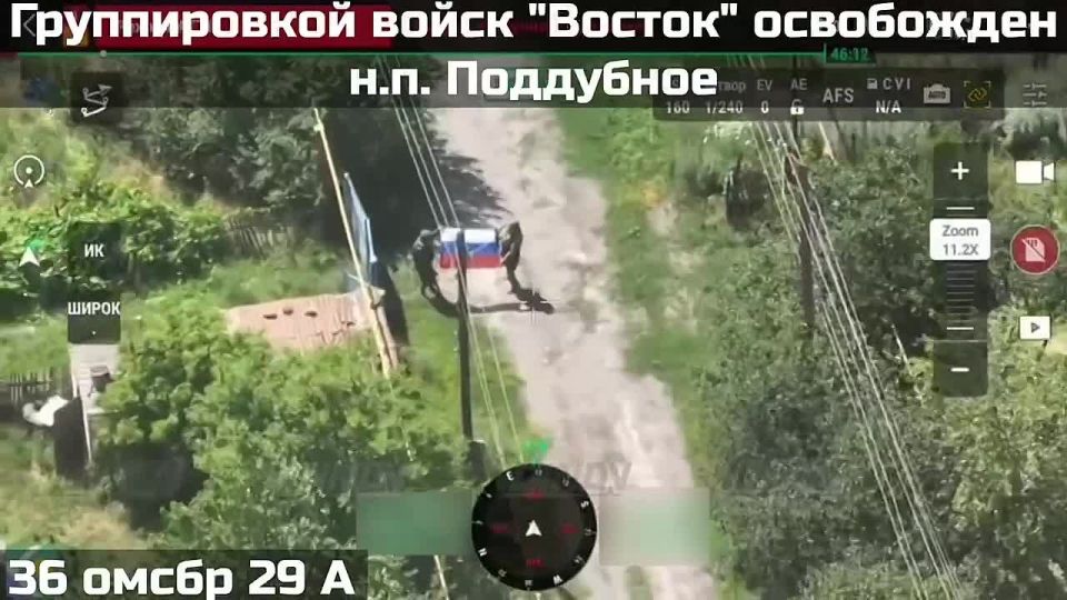        - ,  Telegram-  DV