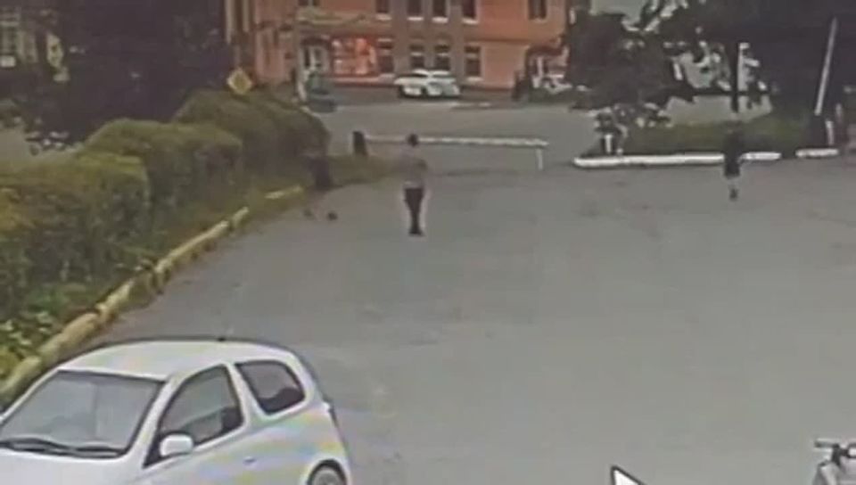     :     13-  - 